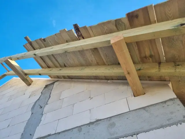 20250305 095638 (dębowa 6 )