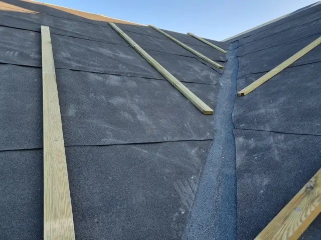 20250306 161238 (dębowa 6 )