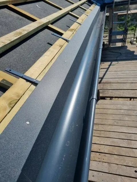 20250402 110559 (dębowa 6 )